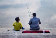 四季都可以钓的鱼，钓鲤鱼的小技巧