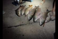 春季禁渔已经开始，部分城市禁钓，但还是可以钓