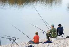 不同水域之下鲫鱼的不同藏身之处