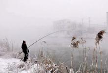深冬大雾天气野钓攻略，大鲫频出但非所有位置都有