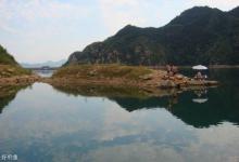 春天如何钓鲤鱼？掌握鲤鱼习性和垂钓技巧