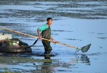 野钓如何避开网工和电工？这几种钓点他们捕不了