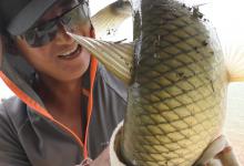 浅谈大鱼进窝的几种信号，看到就换大钩粗线准没错