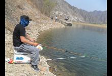 夏钓鲤鱼，这三种钓法让你爆护不停