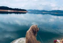 子在川上曰：这里有鱼呼？钓鱼佬见水犯瘾综合症