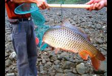 水库钓大鲤鱼经常选择的几个钓点