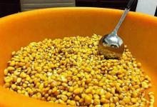 浅谈野钓慢窝：诱鱼虽慢但是个头很大，配套玩法分享（长文）