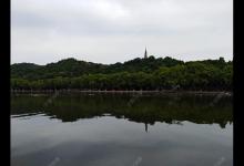 台钓鲢鳙，这些经验技巧很实用！