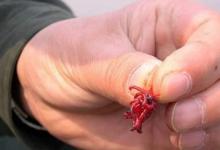 浅谈深冬野钓商品饵，发窝快诱鱼强配方分享