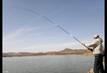 野钓鲤鱼，这5个技巧助你爆护