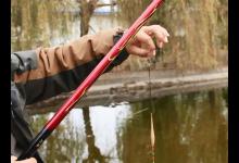 浅谈春季野钓调漂和浮漂选择，观漂清晰抓口稳