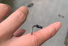 盘点钓鱼人各种花式钓自己，看着就很疼！预防和处理方法分享