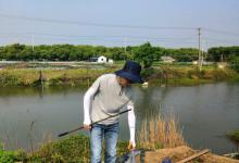 钓鱼真的有因果？可千万别信，做坏事放生才有因果