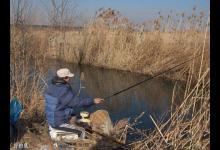 怎样钓鲤鱼上钩快？从饵料和打窝上着手