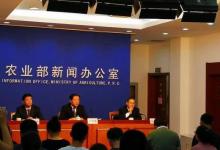 四人五一钓鱼被抓，工作估计黄了，这种钓鱼行为可判刑