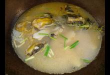 夏钓黄颡鱼，3个技巧助你爆护