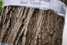 钓友带了一瓶酒米，整个塘都是他的窝子！这种情况怎么办？