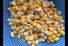 玉米即将成熟，使用攻略分享，可钓草鲤鳊翘