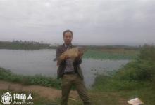 承包水库野钓鲤鱼的饵料选择及打窝技巧