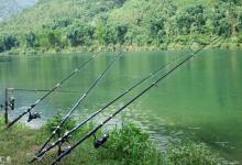 春季钓大鲫鱼的五个必看技巧