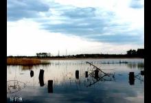 春钓鲫鱼的钓位钓具选择及施钓要点