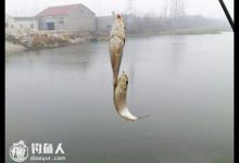 简谈冬季垂钓鲫鱼的策略