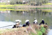 春季钓鲫鱼的六大实用诀窍