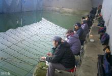 冬季黑坑大棚钓鲫鱼的技巧