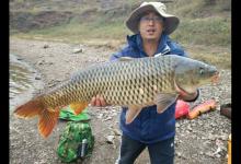 冬季水库垂钓鲤鱼的实用技巧