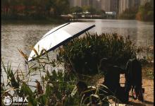 晚秋钓鲫鱼掌握这四大技巧