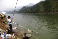 钓友分享江河流水钓鲫鱼的用饵技巧