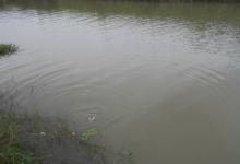 江河钓鲤鱼的选位打窝用饵技巧分享