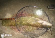 抛竿夜钓鲶鱼的实战技巧分析和注意事项