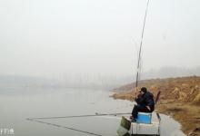 冬钓鲫鱼贵在一个“活”字