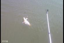 冬季钓鲤鱼的钓位选择技巧