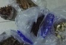 春季自制鲫鱼中药材小药配方，鱼获84斤，惨遭泄密