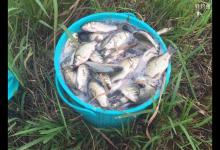 春季钓小鲫鱼浮漂选择以及调漂