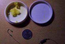 米饭粒饵的制作及钓鲫鱼技巧