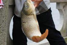 拔河问题的解决技巧及钓大鱼的方法