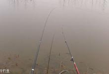 冬春季钓鲫鱼的实用性技巧