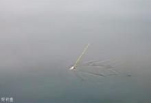 春季钓鲫鱼的十七个漂相动作