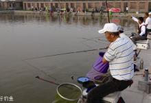 应对冬季轻口鱼的五个钓法技巧