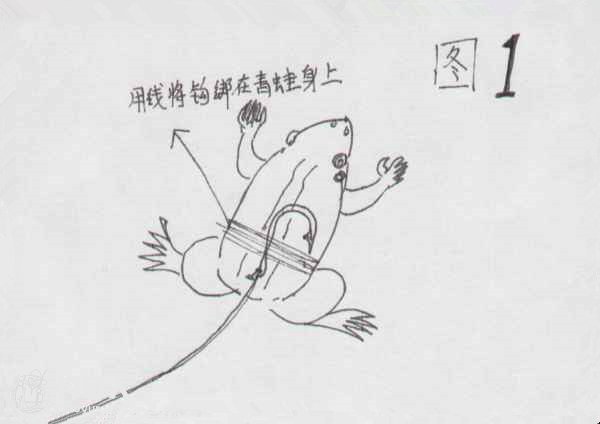高效野钓黑鱼的钓组与垂钓技法分享_钓鱼技巧_爱钓鱼
