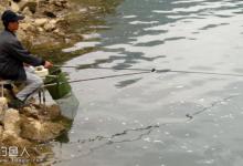 走水巧钓深水大鲫鱼的技巧