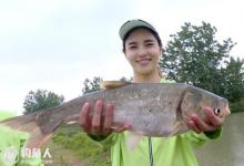 高手分享夏钓鲢鳙的实用技巧