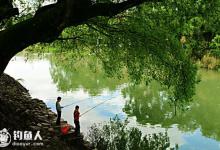 春末夏初野钓鲫鱼攻略（钓点、钓组、饵料）
