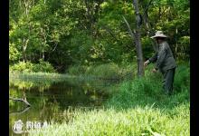 春季在草洞戳茬钓鲫鱼的技巧