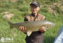 夏天钓草鱼食性装备及垂钓技巧