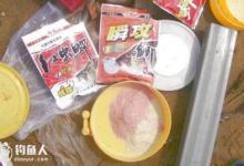 浅析春季钓鲫鱼的用饵技巧