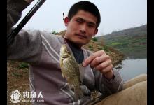 春季野钓鲫鱼的3技巧（钓点、钓时、钓法）